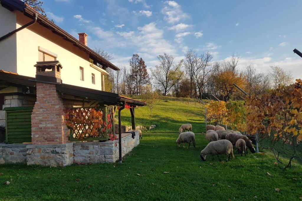 Guest House Pinus Generalski Stol Dış mekan fotoğraf